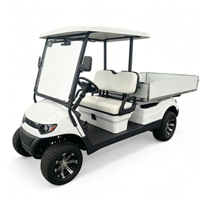 Carrito de Golf Eléctrico de 2 Plazas con Caja de Carga - Product Image 5