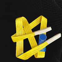 1t 2t 3t 4t 5t 6t 8t 10t 12t Kumaş Eslinga Kaldırma Polyester Düz Gözlü Web Sling Sonsuz Dokuma Sling Kemeri CE Sertifikalı 4mm/5mm