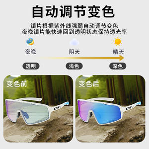 Gafas de Ciclismo Fotocromáticas Whale R9, Marco de Plástico, Antideslizantes, Gafas Deportivas para Exteriores, Modelo Masculino YDJ900 - Product Image 5
