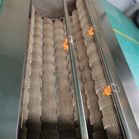 Automatische Rode Dadels Palmreinigingsmachine Rolborstel Groente Reinigingsmachine