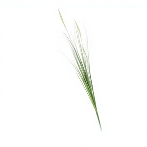 Ramo de Flores Artificiales - Ramo Decorativo Realista e Impermeable para el Hogar, Oficina, Jardín, Regalo del Día de la Madre, Flor Artificial de Plástico - Product Image 2
