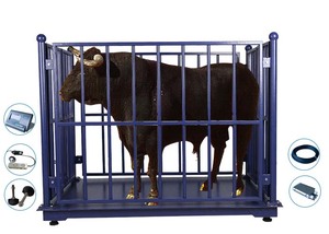 碳钢汽车称重秤动物牲畜称重秤动物秤2000千克 - Product Image 5
