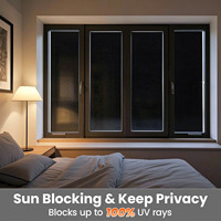 Film décoratif PVC moderne pour vitres givrées, vinyle amovible non auto-adhésif, noir pur, pour salle de bain et bureau