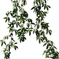 Rangkaian Daun Buah Fukubukuro Buatan, Untaian Panjang untuk Hiasan Dinding, Daun Willow, Daun Zaitun, Bunga Sutra, Dekorasi Lembut untuk Pernikahan