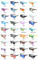 Lunettes de soleil polarisées personnalisées 2026 de haute qualité avec monture en plastique recyclé pour hommes et femmes, style de vie, OEM