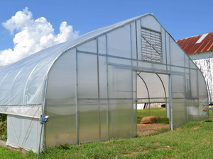 Invernadero Polytunnel de un solo tramo, invernadero agrícola, estructuras de invernadero comerciales usadas a la venta - Product Image 2