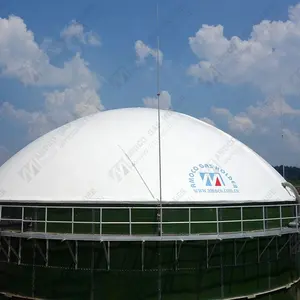 High Quality Membrane Biogas Storage Tank for Biogas Plant in Italy