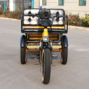 Nouveau véhicule électrique à 3 roues pour 2 personnes, type voiturette de golf, rickshaw, vélo-taxi à pédales, disponible à la vente - Product Image 1