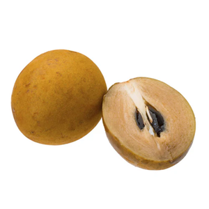 Vente en gros de sapotages frais, purs et biologiques, en grandes quantités, avec emballage personnalisé, proposés à la vente par des exportateurs - Product Image 2