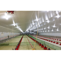 Plan de Negocios para la Construcción de Granjas Avícolas de Acero, Cría de Aves de Corral, Gallinero para Producción de Huevos