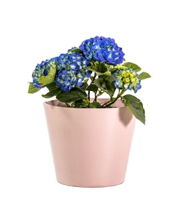 PRECIO BARATO MACETAS <span class=keywords><strong>DE</strong></span> JARDÍN EXTERIOR MACETA <span class=keywords><strong>DE</strong></span> PLÁSTICO VENTA CALIENTE - Product Image 2