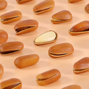 Nouveaux noix <span class=keywords><strong>de</strong></span> pin du Fujian séchées, 500g en conserve, gros grains, pelées à la main, collations à base <span class=keywords><strong>d</strong></span>'huile végétale comestible, produits frits, <span class=keywords><strong>achat</strong></span> - Product Image 2