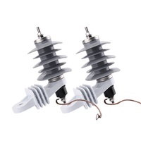 Parafoudre à oxyde métallique 10 kV pour la protection contre la foudre dans les systèmes de distribution d'énergie et les lignes de transmission extérieures
