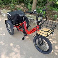 Vélo cargo électrique 20 pouces, moteur arrière 48V 250W, batterie 15Ah, 7 vitesses, jantes à double paroi, écran LED, frein à disque, verrouillage à une touche