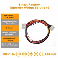 Rangkaian Kabel Berinsulasi PVC OEM dengan Pemasang Sekring Zh Ph Eh Xh untuk Perakitan Kabel Otomotif dalam Aplikasi Transportasi Rel Peralatan