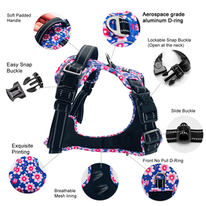 Set Pettorina e Guinzaglio per Cani Personalizzato con Motivi Floreali Riflettenti, Regolabile, Imbottito Morbido, Anti-Trazione, in Nylon e Plastica, per Cani Piccoli, Medi e Grandi - Product Image 5