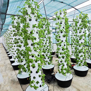 Planteur de serre Culture sans sol Tour aéroponique Plantation verticale Agriculture Colonne de culture hydroponique pour légumes - Product Image 4