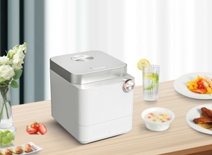 Mới Đến Tất Cả Trong Một Kỹ Thuật Số Nồi Cơm Điện Thép Không Gỉ Và Nhựa Điện Cb 1000W Hộ Gia Đình Đường Thấp Nồi Cơm Điện <span class=keywords><strong>Class</strong></span> A - Product Image 2