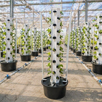 Tour de culture verticale aéroponique pour serre agricole commerciale avec système hydroponique et lumière de croissance pour légumes