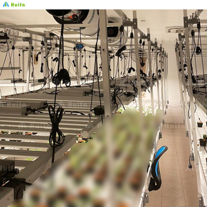 Étagère de <span class=keywords><strong>semis</strong></span> <span class=keywords><strong>à</strong></span> plusieurs niveaux avec éclairage LED Supports de culture verticaux pour l'agriculture en intérieur - Product Image 1