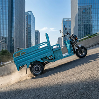 Electric Tricycle Open Body 1000W GCC Three-wheel Cargo Motorcycle 40km/h Long Range 500kg Payload Electric Three-wheeler
