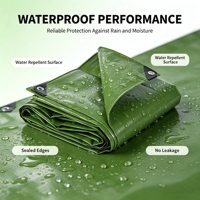 Bâche verte imperméable avec œillets, auvents durables, bâche de protection contre la pluie en PE pour la vente en gros