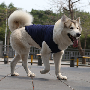 Chaleco para Perro Samoyedo, Ropa de Algodón para Mascotas, Cómoda y Lavable, para las Cuatro Estaciones, Tallas Pequeña, Mediana y Grande - Product Image 1