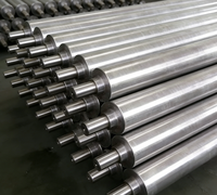 Rouleau industriel robuste en acier inoxydable 316 poli miroir avec roulement à rouleaux et roulement à billes, neuf, directement de l'usine