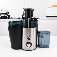 Fabrieksgroothandel OEM Draagbare Slow Juicer Buitengebruik 500ml Capaciteit Metalen Behuizing Multifunctionele Elektrische Molen
