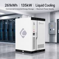 Premium 261kWh 135kW Hepsi Bir Arada Batarya Enerji Depolama Sistemi Sıvı Soğutmalı 8000 Döngülü IP67 Endüstriyel Güneş Enerjisi Santrali için