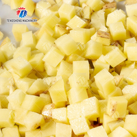 Cortadora Comercial de Frutas y Verduras, Rebanadora Eléctrica de Zanahorias, Picadora de Patatas, Cortadora de Chips de Plátano, Máquina para Cortar Repollo
