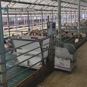 Nhà máy trực tiếp bán New cừu/dê tăng trưởng hiệu suất hệ thống đo lường thiết bị cho cừu và dê nuôi - Product Image 3