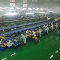 Machine complète Leadworld pour la transformation et la mise en conserve des ananas