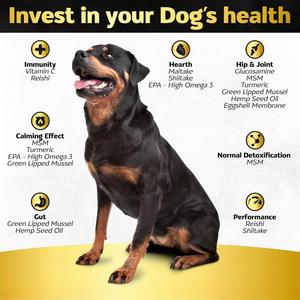 <strong>Dog</strong> Cat Joint Health Care Soft Chews <strong>Fish</strong> <strong>Oil</strong> Glucosamine HCL High-Protein Pain Relief 120 Chews/Box - Product Image 5