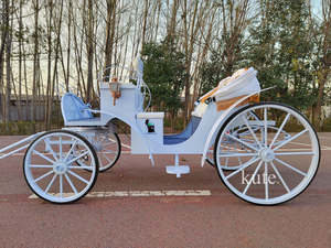 Calèche électrique de tourisme avec garantie de 2 ans, taille/couleur personnalisables, pour visites de villes anciennes et mariages - Product Image 4