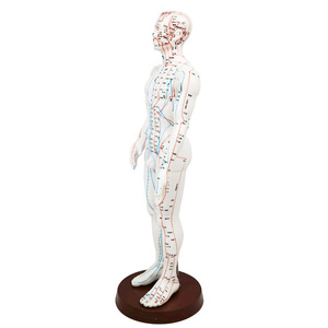 Modelo Global de Meridianos de Acupuntura, Masculino 50cm, Femenino 48cm, Plástico Flexible para Enseñanza y Práctica - Product Image 4