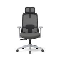 Chaise de bureau ergonomique moderne grise, réglable en hauteur, avec support lombaire et accoudoirs fixes, pour une utilisation dans les bureaux