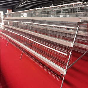 Batería de jaula comercial para pollos, equipo para <span class=keywords><strong>gallinas</strong></span> ponedoras, gallinero para 96-500 pollos - Product Image 1