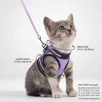 Harnais et laisse de luxe réglables pour chat avec gilet anti-évasion intégré et veste respirante pour chat