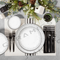 Set d'assiettes en porcelaine sophistiquées Motifs mouchetés d'argent exquis pour des arrangements de table de mariage gracieux