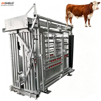 Cage d'immobilisation pour bovins avec fonction de palpation pour les exploitations bovine