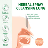 Désintoxication respiratoire Nettoyage des poumons à base de plantes Soulagement oral Spray de soin de l'inconfort de la gorge et du nez