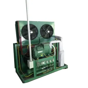 Balık eti donma soğutmalı yoğuşmalı ünitede bi25hp 30Hp Emerson ve Bitzerused