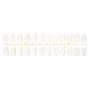 Palette de 24 échantillons de vernis à ongles naturels en gel, pour la présentation et la pratique de la manucure - Product Image 3