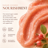 Private Label 100% Exfoliant Hydratant Bio Vegan Éclaircissant Lèvres Suger Pink Lip Scrub