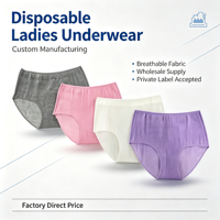 Culottes jetables pour femmes, OEM/ODM d'usine, emballage personnalisé, pour voyage et maternité