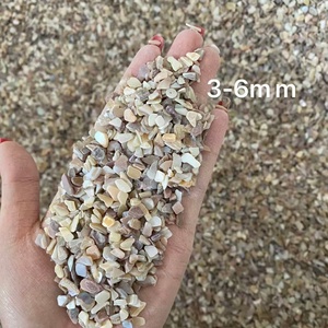 Chips de Concha Marina Naturales de Alta Calidad para Decoración de Bodas, Acuarios, Jardines, Ecológicos, No Tóxicos, para Pisos de <span class=keywords><strong>Terrazo</strong></span> y Concreto - Product Image 1