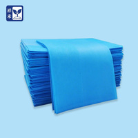 Drap de lit jetable non tissé, housse de table de massage, imperméable, pour spa, beauté, tatouage, marque privée, vente en gros