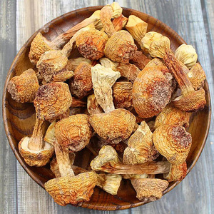 <span class=keywords><strong>Agaricus</strong></span> Blazei - Product Image 3