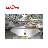 Ligne de production de remplissage d'ampoules Marya utilisée pour les injections d'ampoules dans les usines médicales